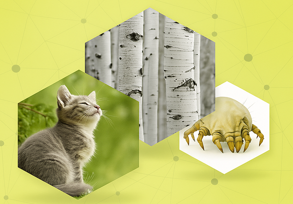 кошка, береза, клещ