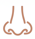 Аллергический ринит